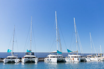 The catamarans that took part to the event