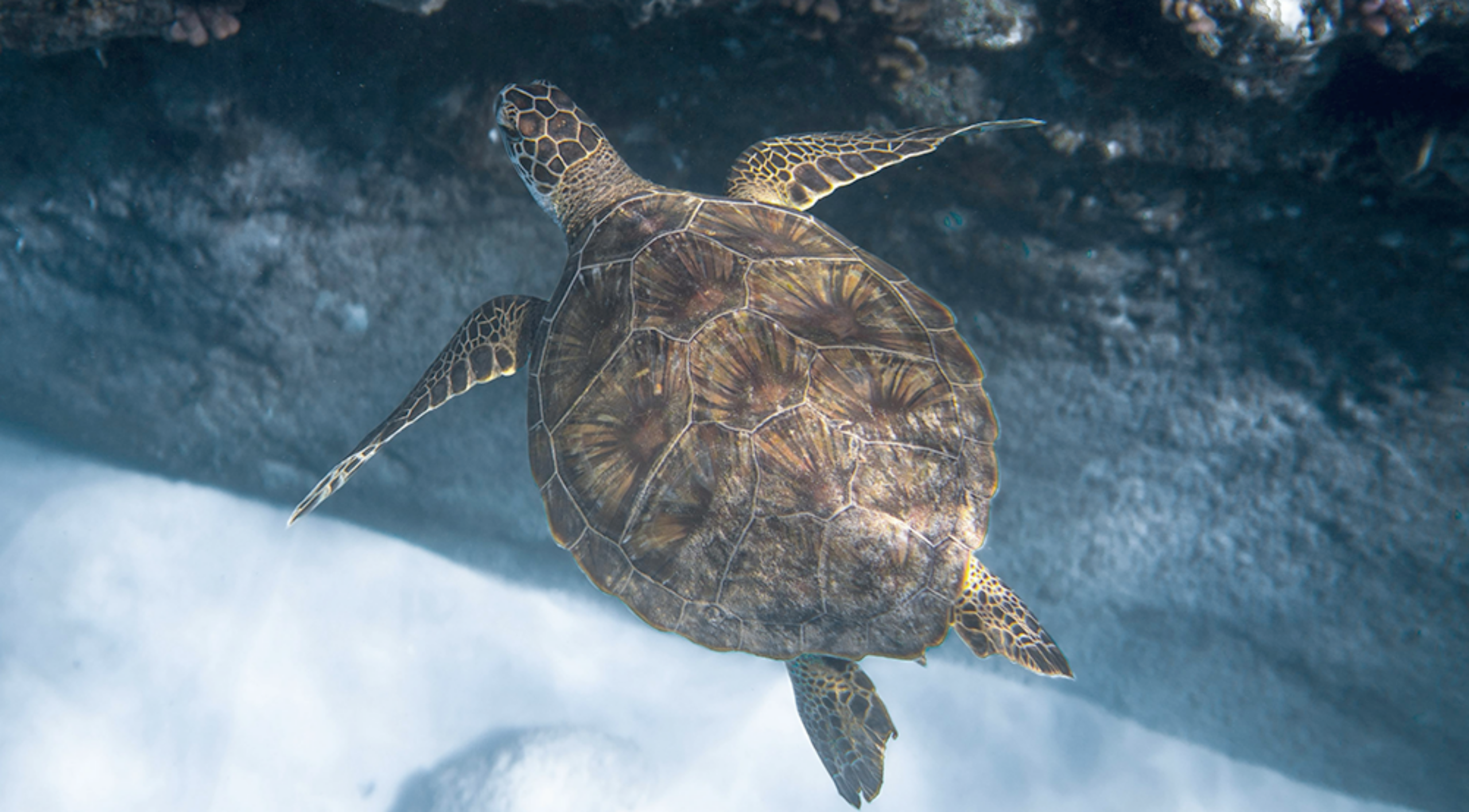 Sostenibilità ambientale nella Nautica