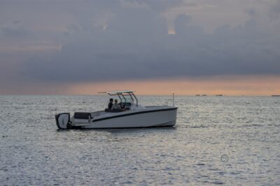 New Delta Powerboats T26 2024 for sale - boat image 11