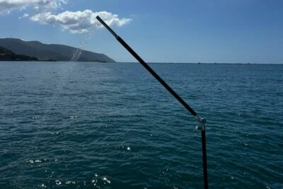 Sacs Marine Strider 15 in Liguria (Italy) - boat image 30