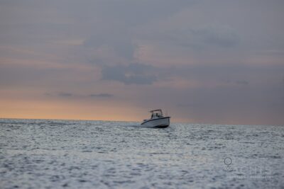 Delta Powerboats T26 in Liguria (Italy) - boat image 10